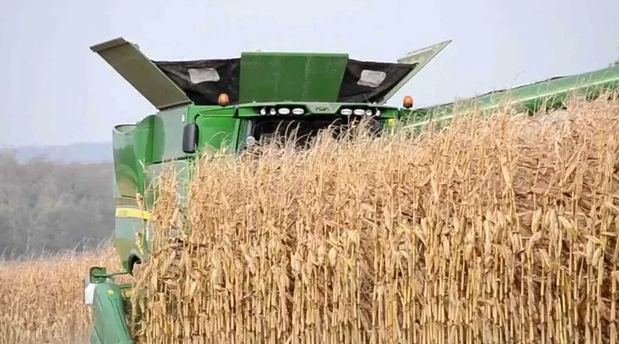 Corn Harvesting Machines - Transforming Agriculture in Guyana